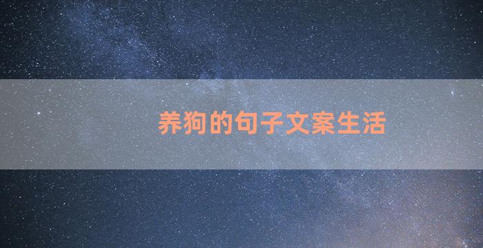 养狗的句子文案生活