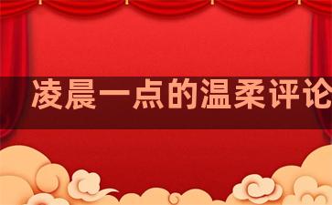 凌晨一点的温柔评论句子
