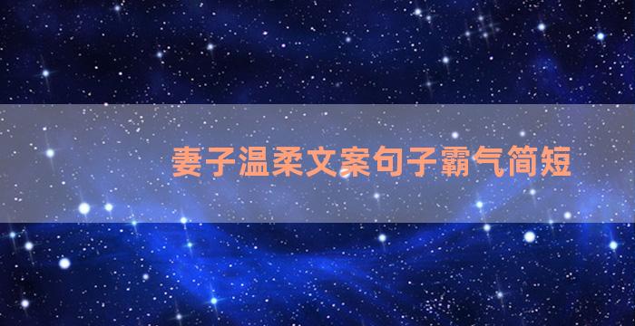 妻子温柔文案句子霸气简短