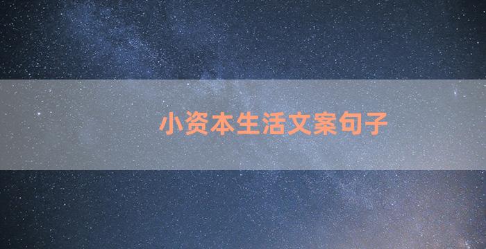 小资本生活文案句子