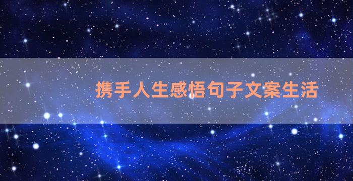 携手人生感悟句子文案生活